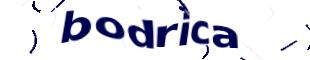 Captcha challenge image