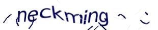 Captcha challenge image